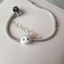The Nightmare Before Christmas Charms To Fit Pandora Bracelet Image 8
