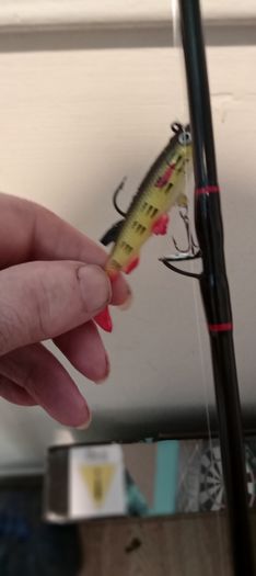 Rovex 8ft spinning combo rod+1 free lure