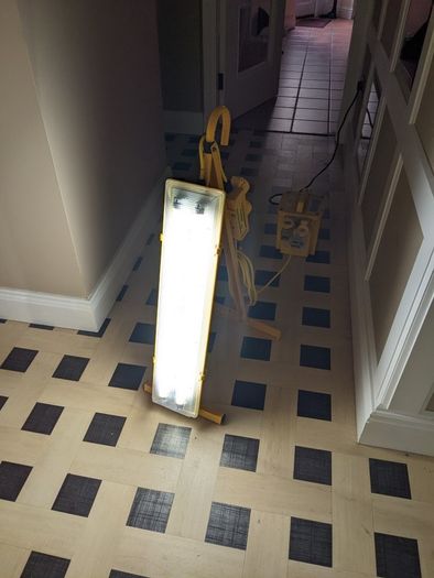 110v site light