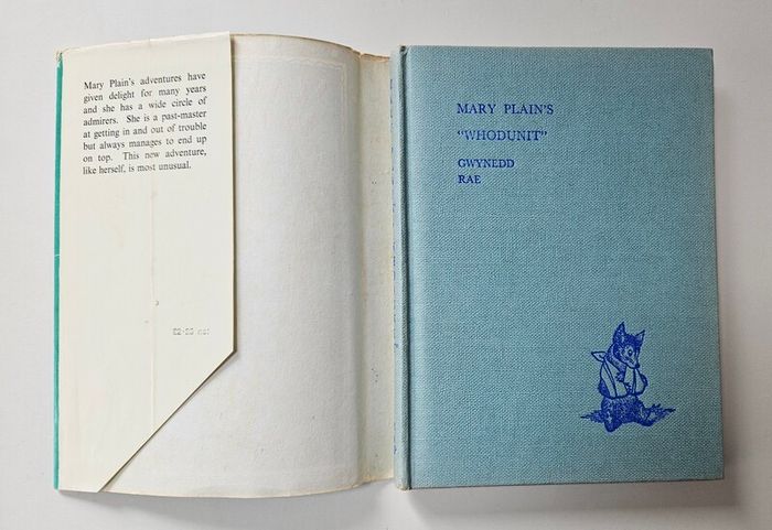 Mary Plains Whodunnit (1st Edition 1965) - Gwynedd Rae - Vintage Children's Book