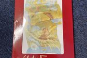 Salvatore Ferragamo silk scarf