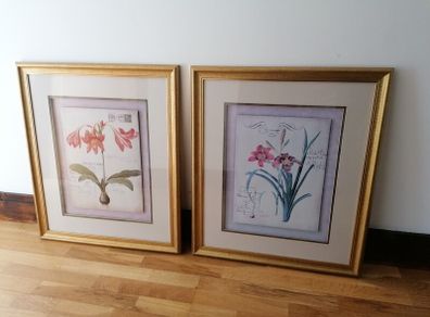 2 Large Wall Pictures