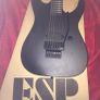 ESP LTD Electric guitar Black Metal Series  Black Satin Image 6