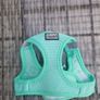 dog harness and lead Image 2