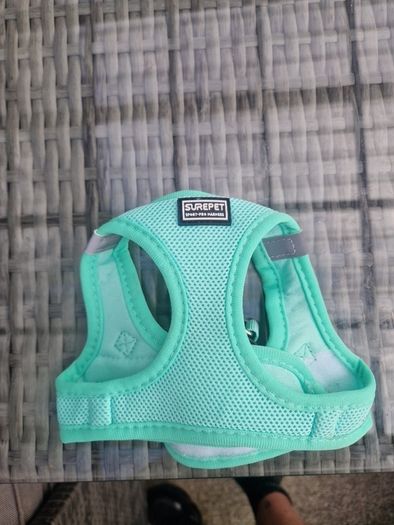 dog harness and lead