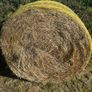 Haylage Image 2