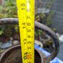 Antique Very Large Cast Iron Kettle, I don't see any cracks or breaks, Image 4