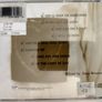 Steve Winwood - Refugees Of The Heart CD (1990) Blues Soul Rock VG+ Image 3