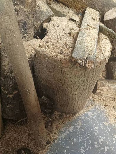 Logs