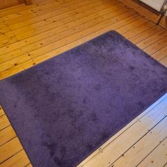 Lilac / Lavender Accent Area Rug (150cm x 97cm)