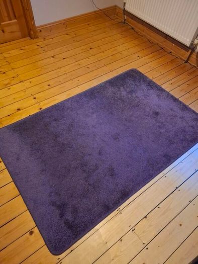 Lilac / Lavender Accent Area Rug (150cm x 97cm)