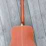 Tanglewood earth 200 acoustic guitar and hard case Image 7