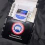 canada goose Image 2