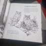 Drawn to Nature: Encounters With Irish Nature (Hardcover) Image 7
