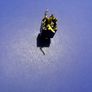 12B Neutrik Stereo Output Jack for Active Pickups. This is a replacement part for guitar and bass using active pickups or passive pickups with an active EQ electric guitar parts accessories Image 3