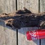 bog oak Image 8