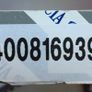 Timing Belt (Fiat Scudo) Image 3
