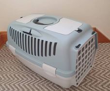cat box and  litter tray