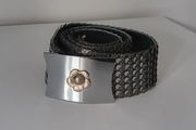 Silver Belt with Rose Buckle Clip