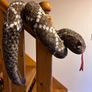 Snake Soft Plush Toy LARGE Image 4