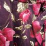 The Pretty Dress Co Rose Print Occasion Dress Image 6