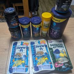 fish food
