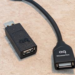 AudioQuest Jitterbug with Dragontail