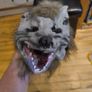 Halloween costumes Image 10