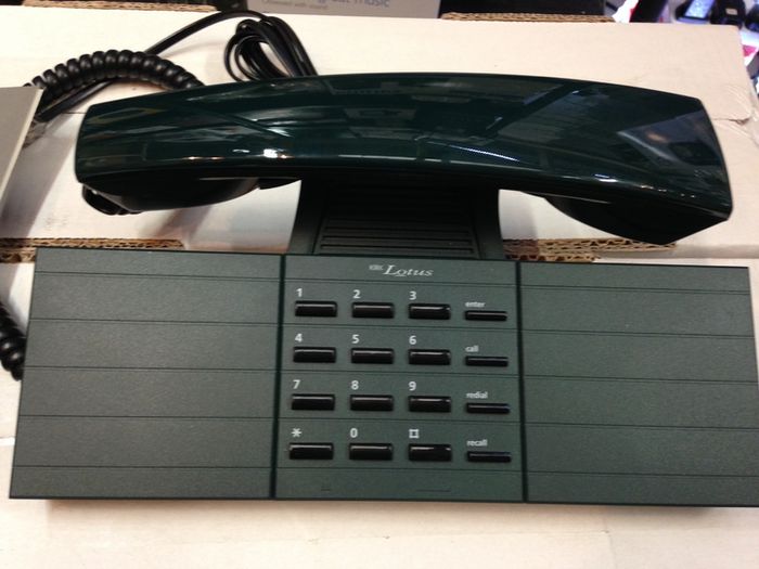 Green Home Phone