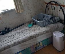 single bed free