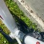 Trek Domane AL3 Image 2