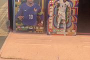 Panini Cards