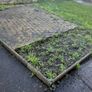 FREE - Paving Blocks and Concrete Garden Edging Image 5