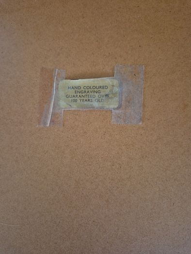 Antique Colour Engraving