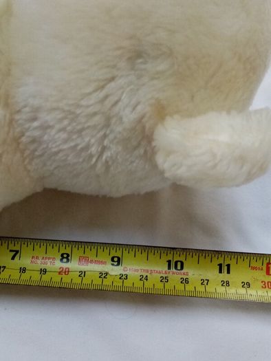White Bear in a box