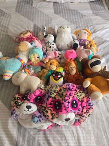 FREE Teddys