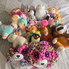 FREE Teddys