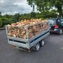 Trailer loads of firewood Image 4