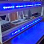 marine lights Image 2