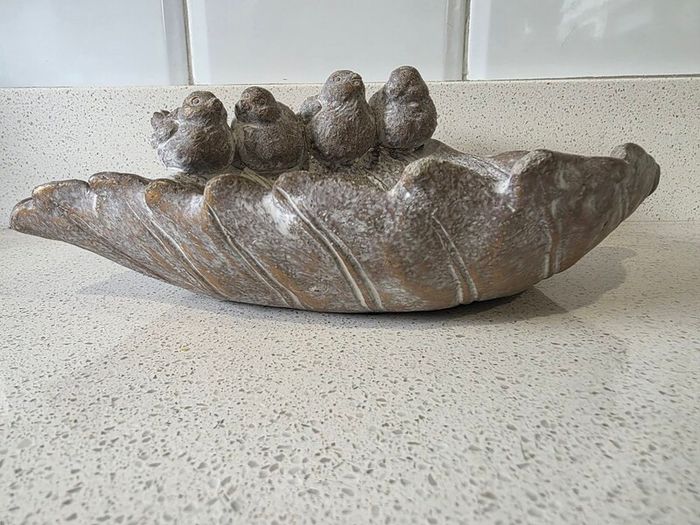 Bird Bath
