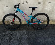 orbea mountain bike