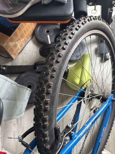 Bike 17"