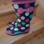 wellies Image 9