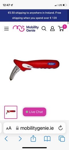 Handybar Support handle for car mobility aid