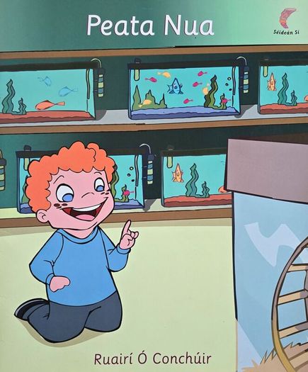 Leabhair Ollmhora Gaeilge [18"x15"] le haghaidh paisti/leanai/gasur - Huge Irish books for kids