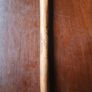 Walking stick Image 3