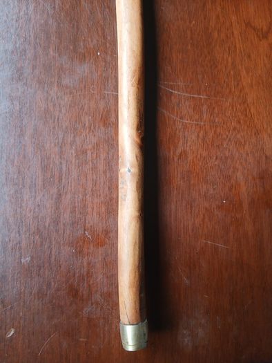 Walking stick