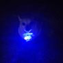 Pet Safety Pendant Image 9