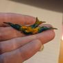 Vintage Ladies Bird Brooch Image 6