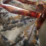 Miu Miu sunglasses Image 5